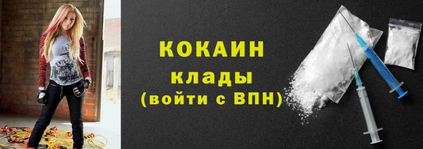 стаф Новодвинск