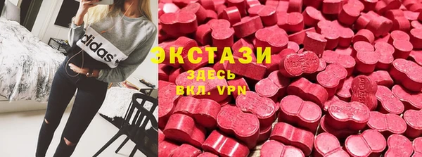 стаф Новодвинск