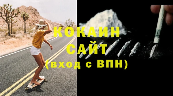 стаф Новодвинск