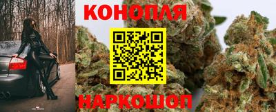 стафф Аргун