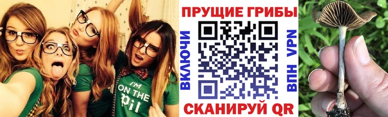 МЕГА вход  Белореченск  Галлюциногенные грибы MAGIC MUSHROOMS 