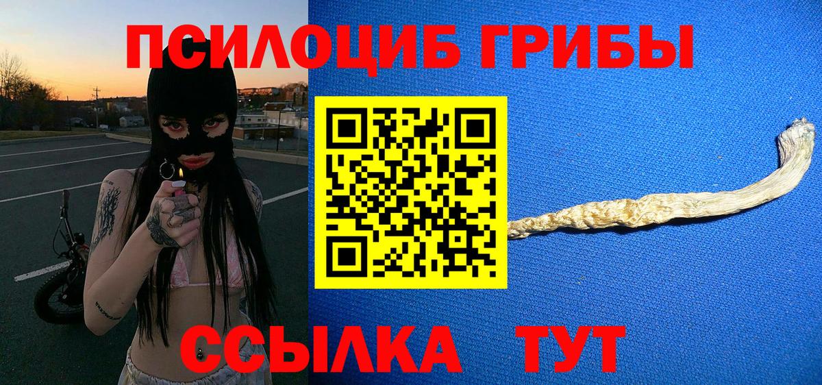 Галлюциногенные грибы Cubensis Белореченск