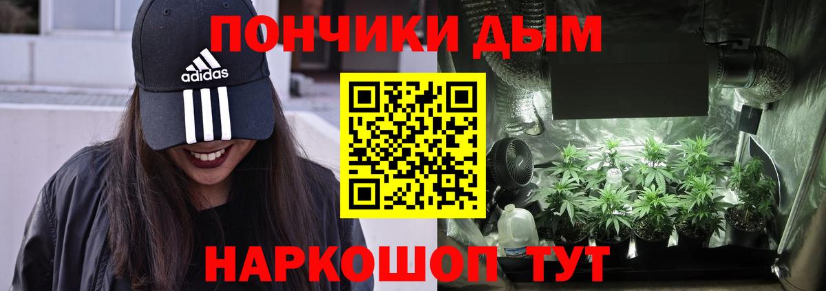 Бошки Шишки планчик Белореченск